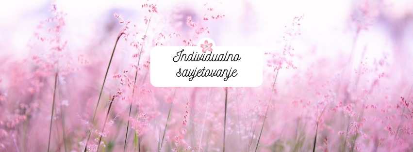 Individualno savjetovanje